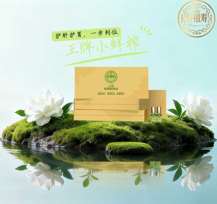 彭祖寿集团介绍